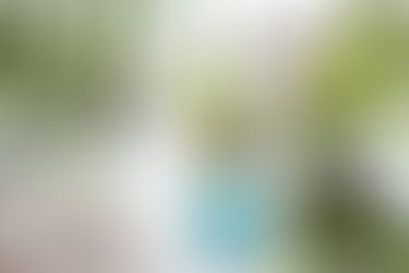 Grow Your Blog Community